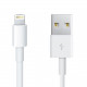 Apple Cable USB - Lightning (2m)